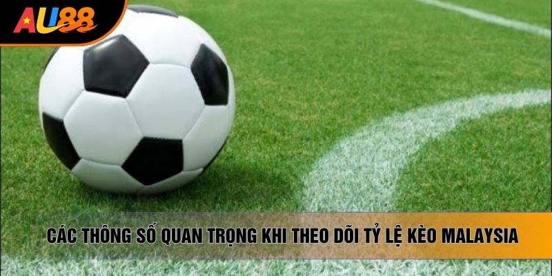 Các thông số quan trọng khi theo dõi tỷ lệ kèo Malaysia Các thông số quan trọng khi theo dõi tỷ lệ kèo Malaysia
