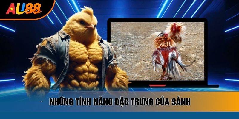 Những tính năng đặc trưng của sảnh Những tính năng đặc trưng của sảnh