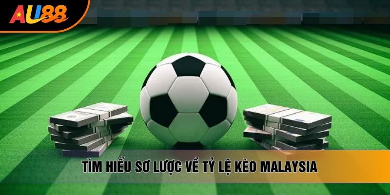 Tìm hiểu sơ lược về tỷ lệ kèo Malaysia Tìm hiểu sơ lược về tỷ lệ kèo Malaysia